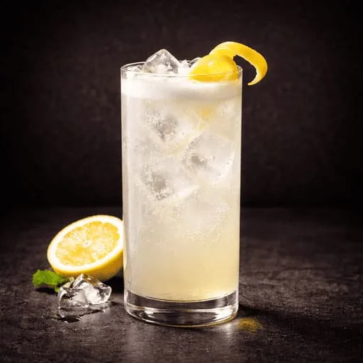 Cocktail Gin Fizz